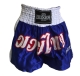 NZ Boxer Muay Thai Shorts
