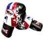 Twins Thai Flag Gloves