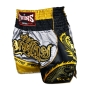 Twins Special Dragon Muay Thai shorts